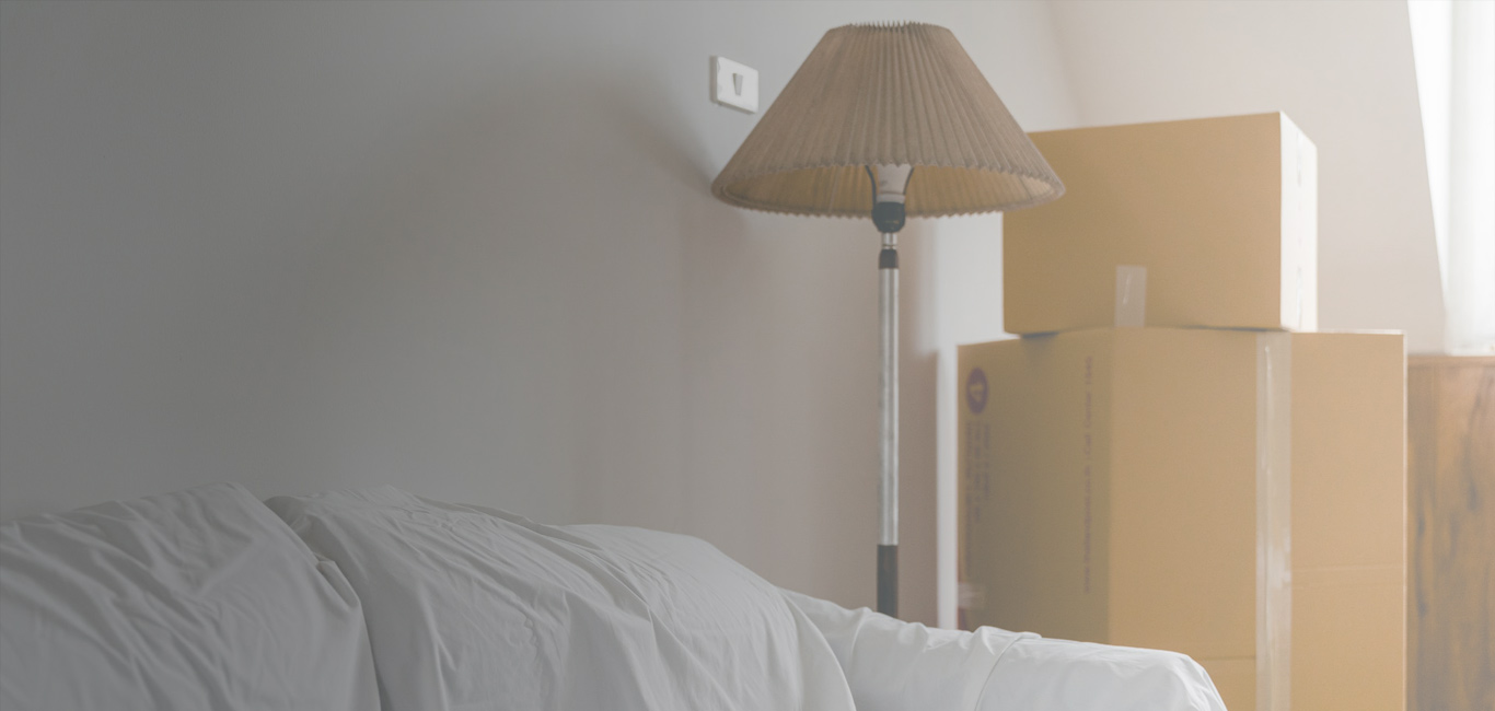 domestic removals in plymouth