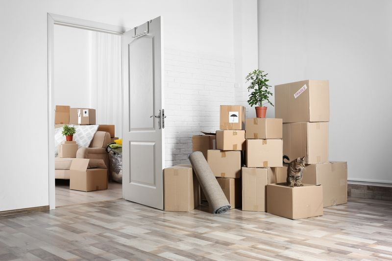 commercial removals plymouth